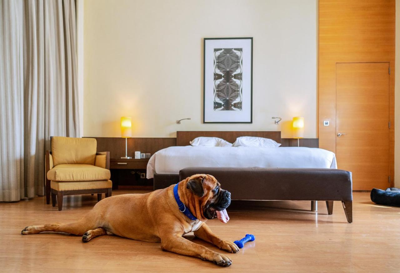 Hyatt Hyderabad Gachibowli Hotel Eksteriør billede